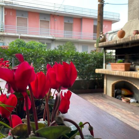 Triptolemus Stay Inn Eleusis Zewnętrze zdjęcie